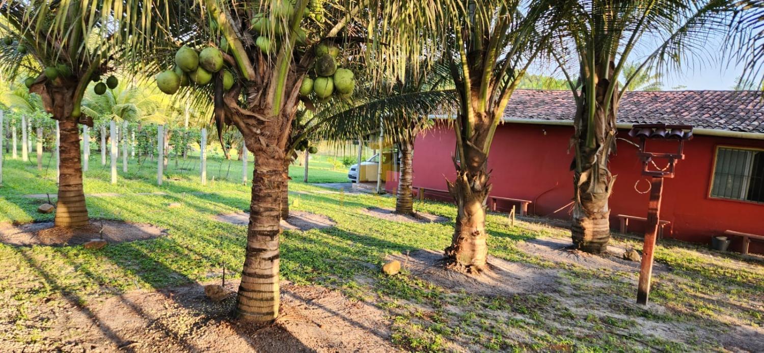 Fazenda à venda com 2 quartos, 14600m² - Foto 25