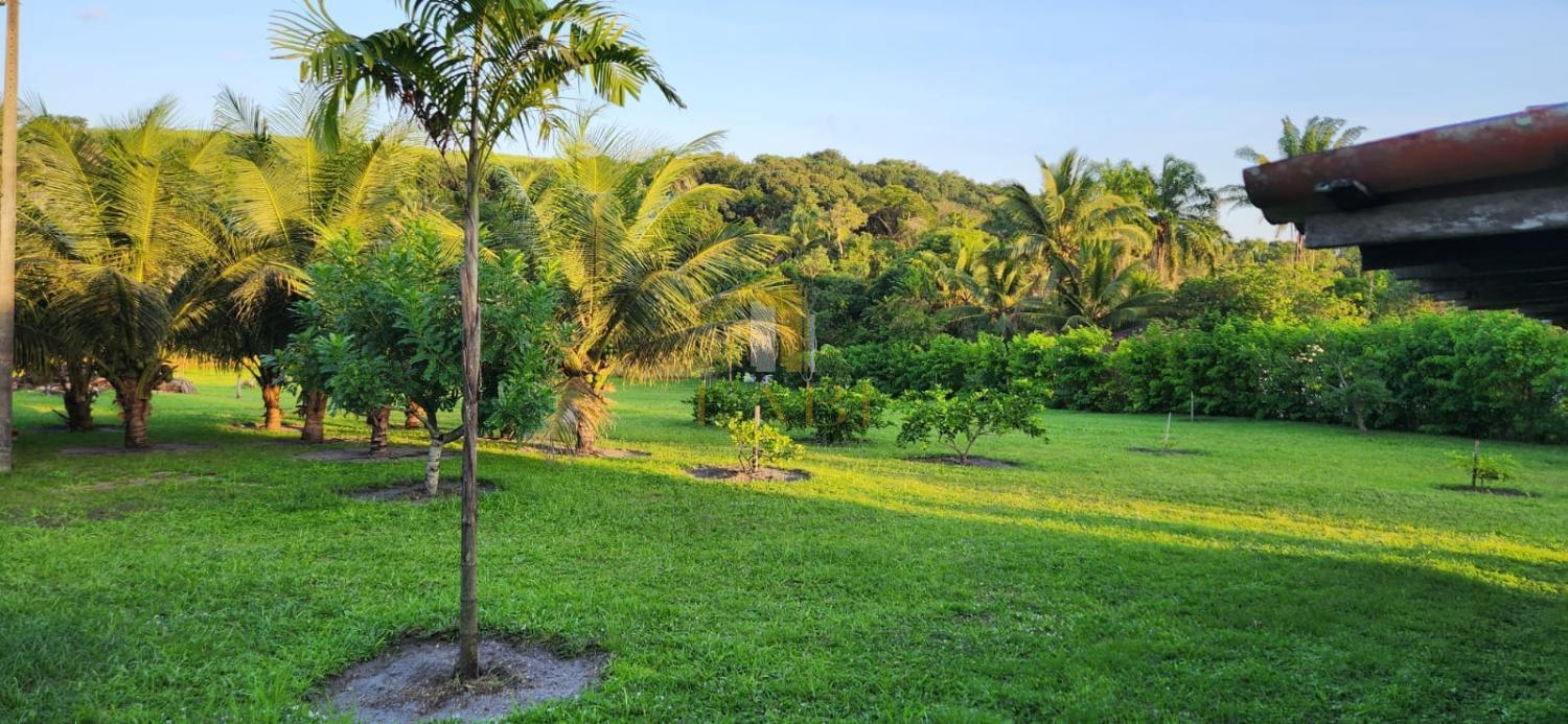 Fazenda à venda com 2 quartos, 14600m² - Foto 26