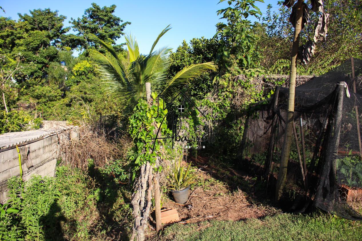 Fazenda à venda com 2 quartos, 1650m² - Foto 41