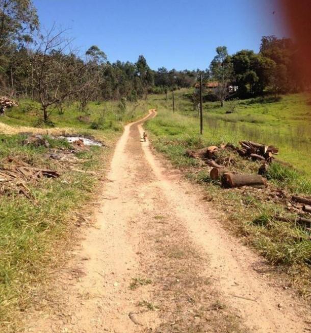 Fazenda à venda com 4 quartos, 169000m² - Foto 10