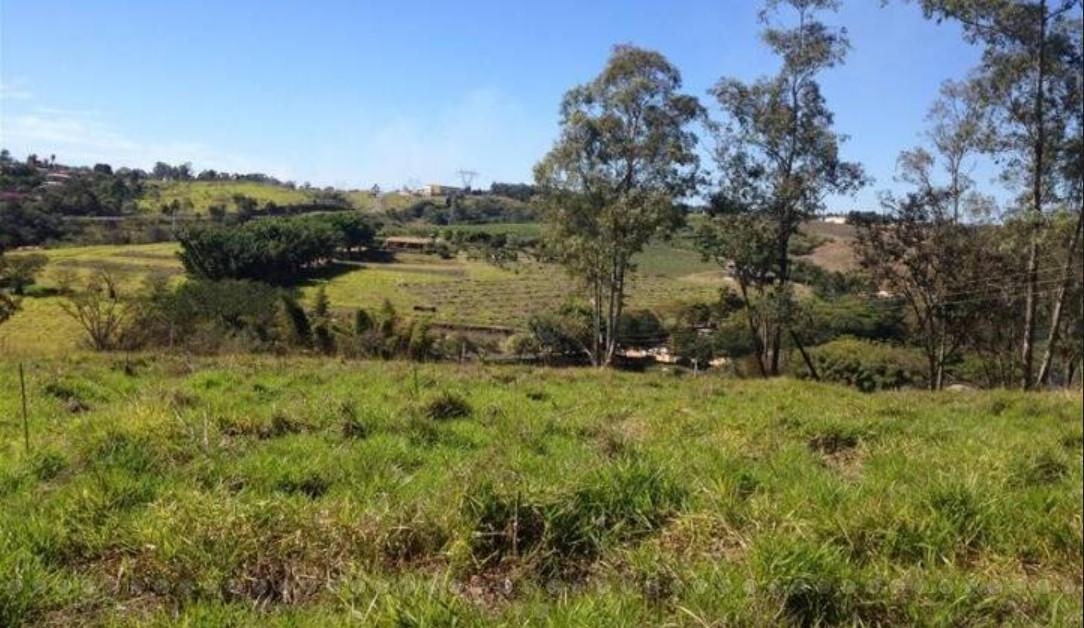 Fazenda à venda com 4 quartos, 169000m² - Foto 4