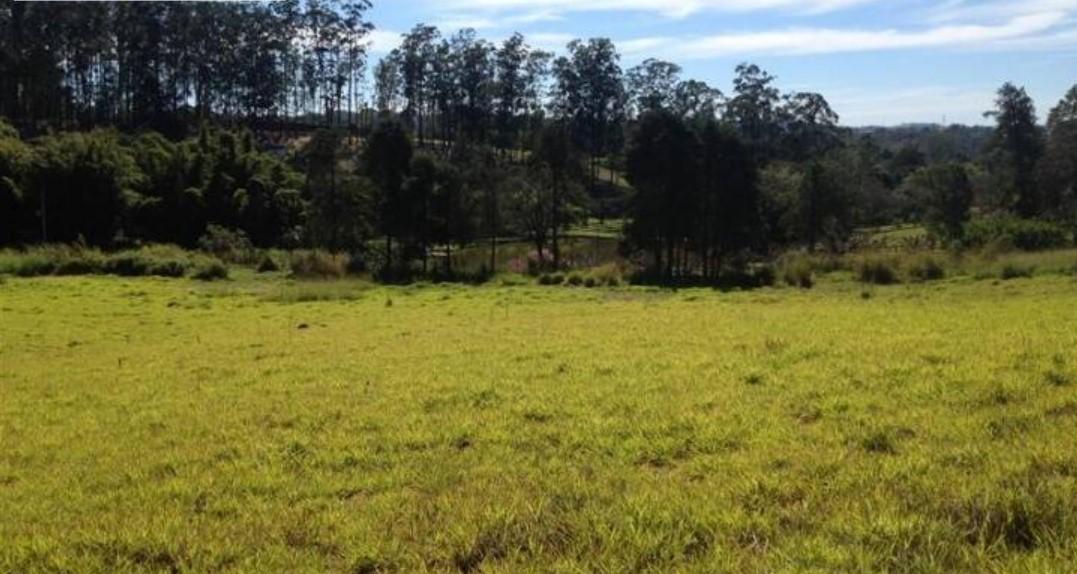 Fazenda à venda com 4 quartos, 169000m² - Foto 8