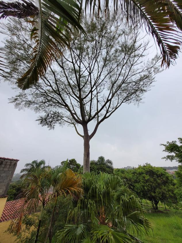 Fazenda à venda com 2 quartos, 1100m² - Foto 6