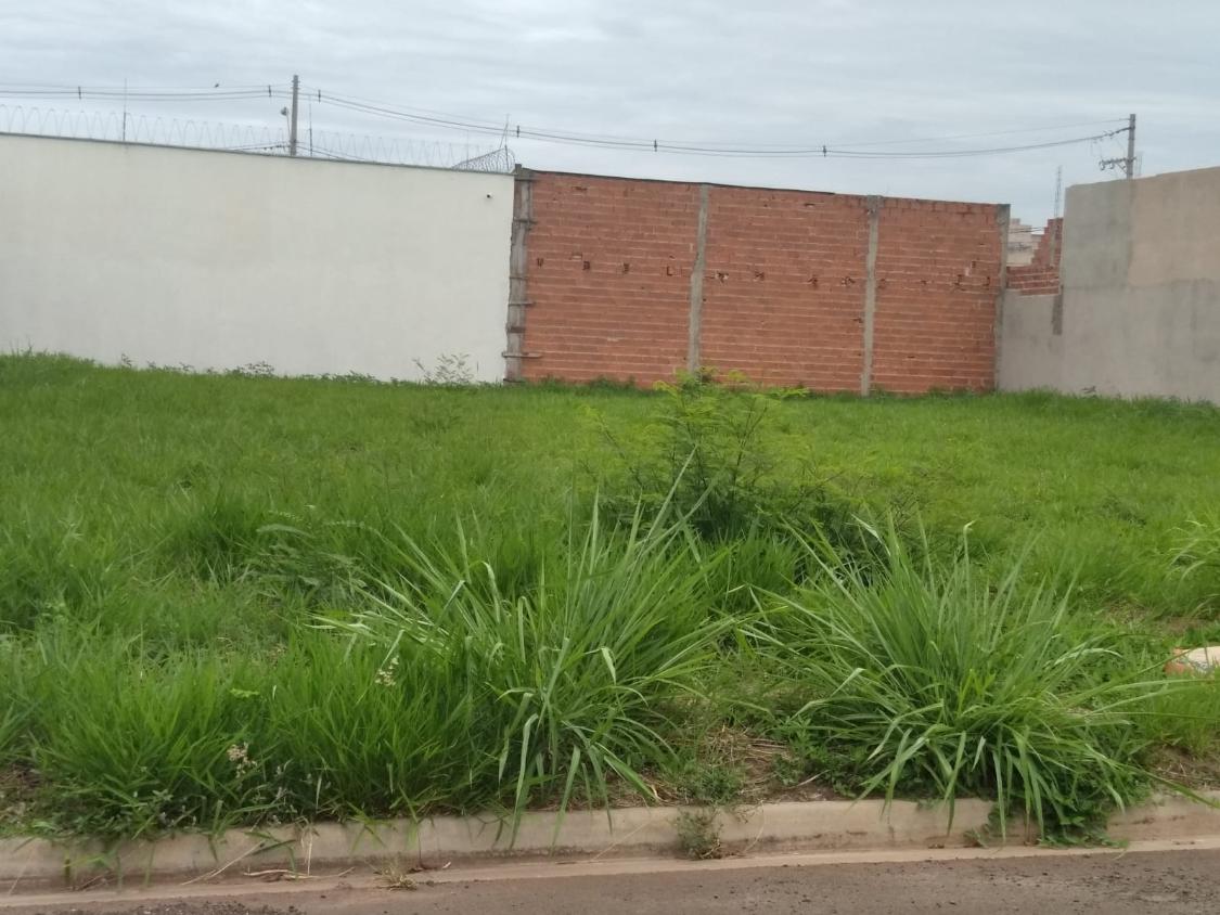 Terreno à venda, 250m² - Foto 1