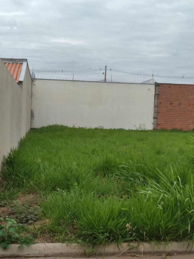 Terreno à venda, 250m² - Foto 2