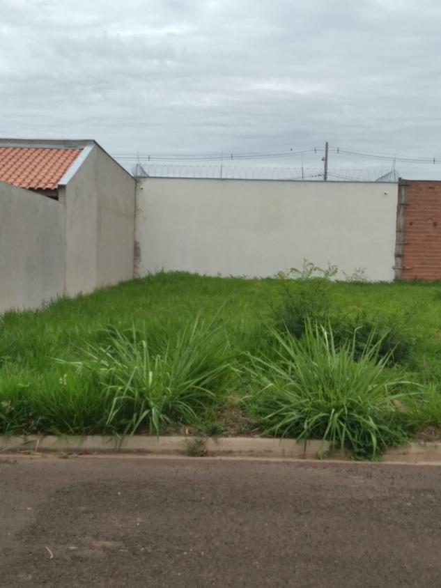 Terreno à venda, 250m² - Foto 5