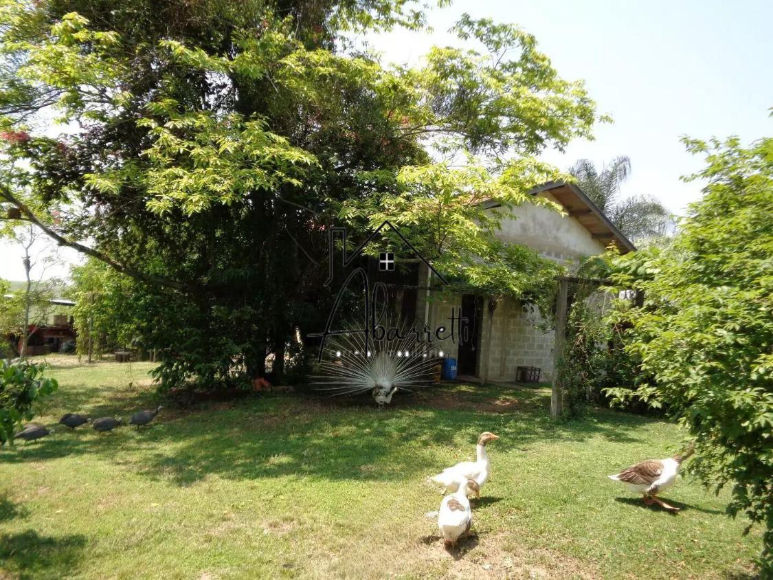 Fazenda à venda com 3 quartos, 46097m² - Foto 14