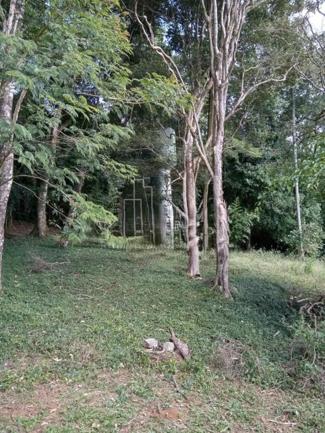 Fazenda à venda com 4 quartos, 23000m² - Foto 20