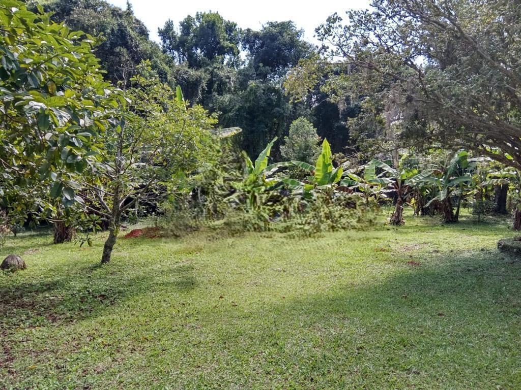 Fazenda à venda com 4 quartos, 23000m² - Foto 22