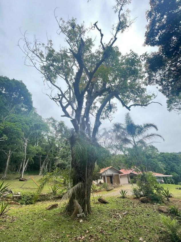 Fazenda à venda com 4 quartos, 23000m² - Foto 18