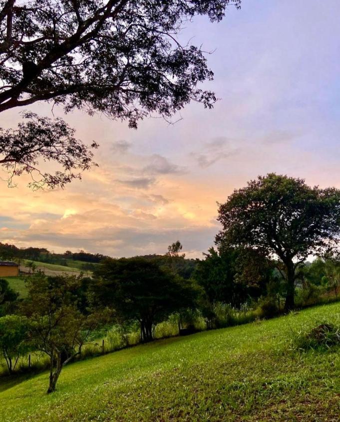 Fazenda à venda com 4 quartos, 5940m² - Foto 3