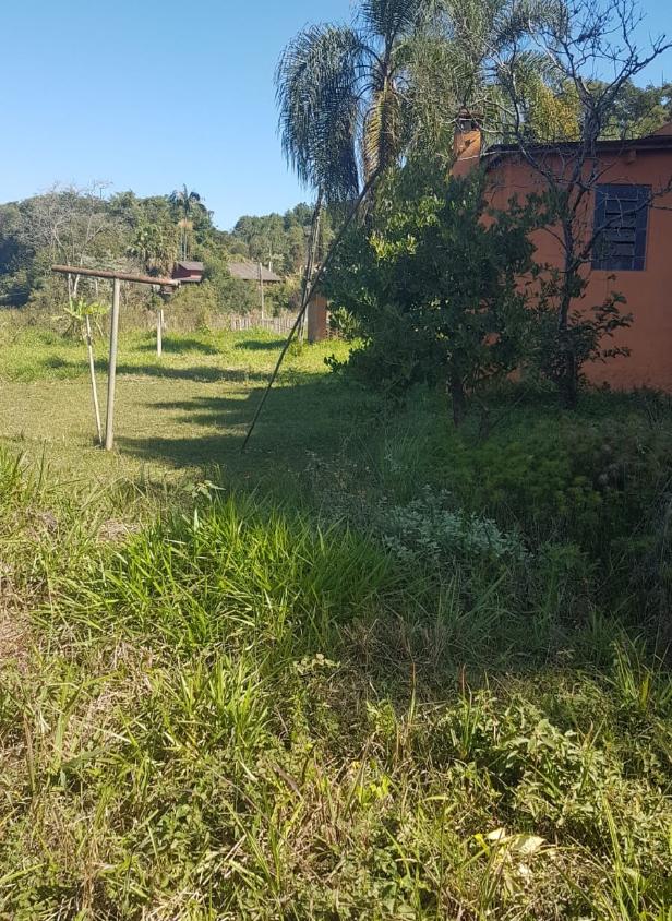 Fazenda à venda com 3 quartos, 3353m² - Foto 8