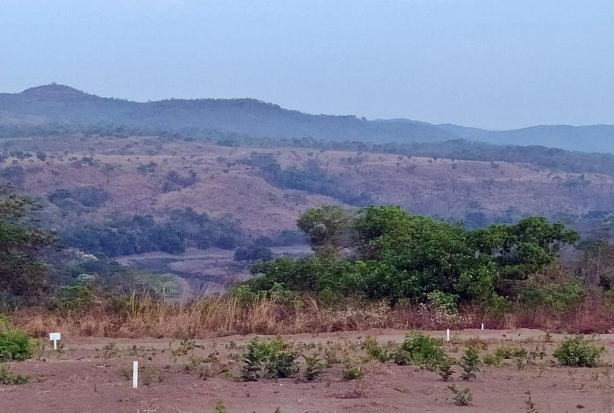 Terreno à venda - Foto 7