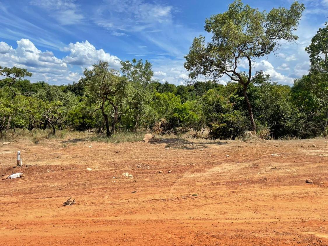 Fazenda à venda, 1300m² - Foto 5