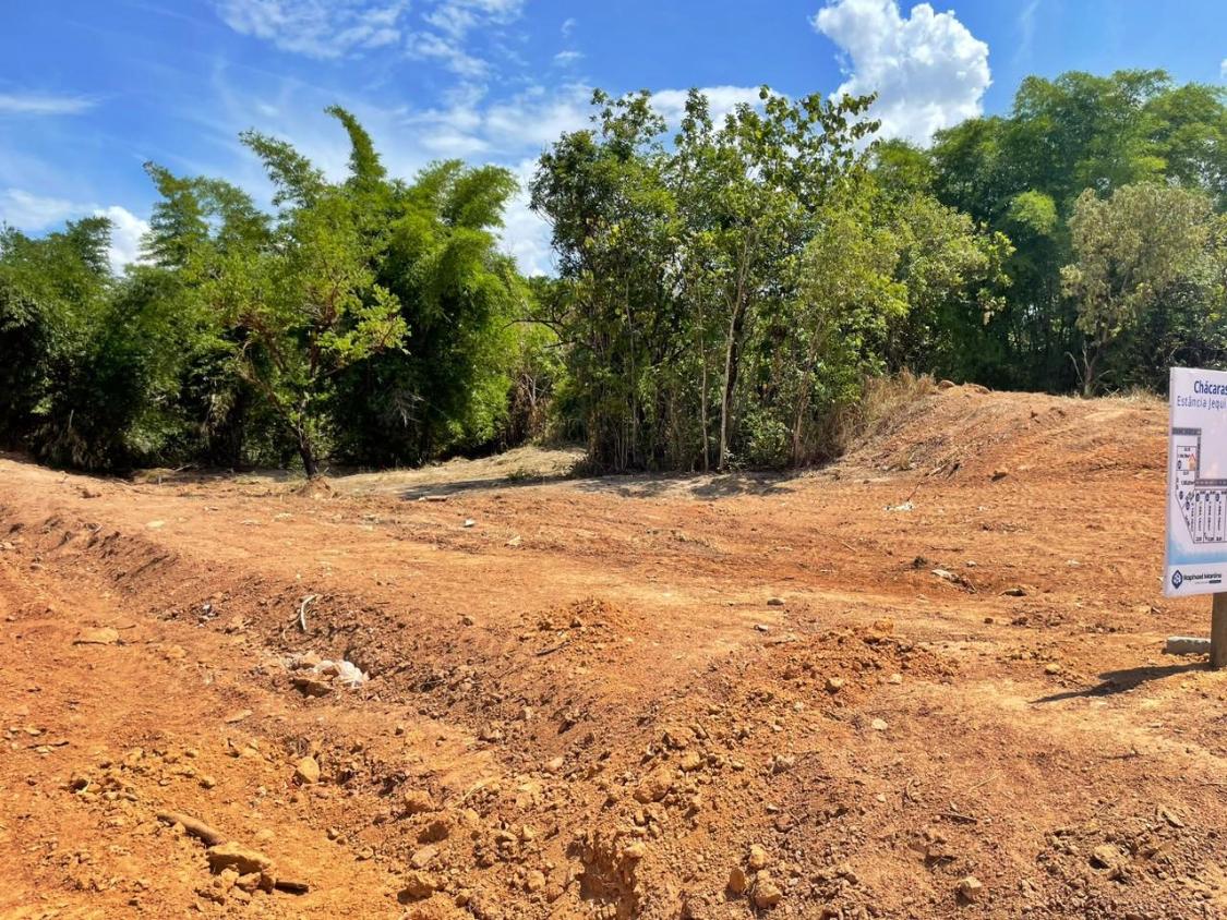 Fazenda à venda, 1300m² - Foto 9