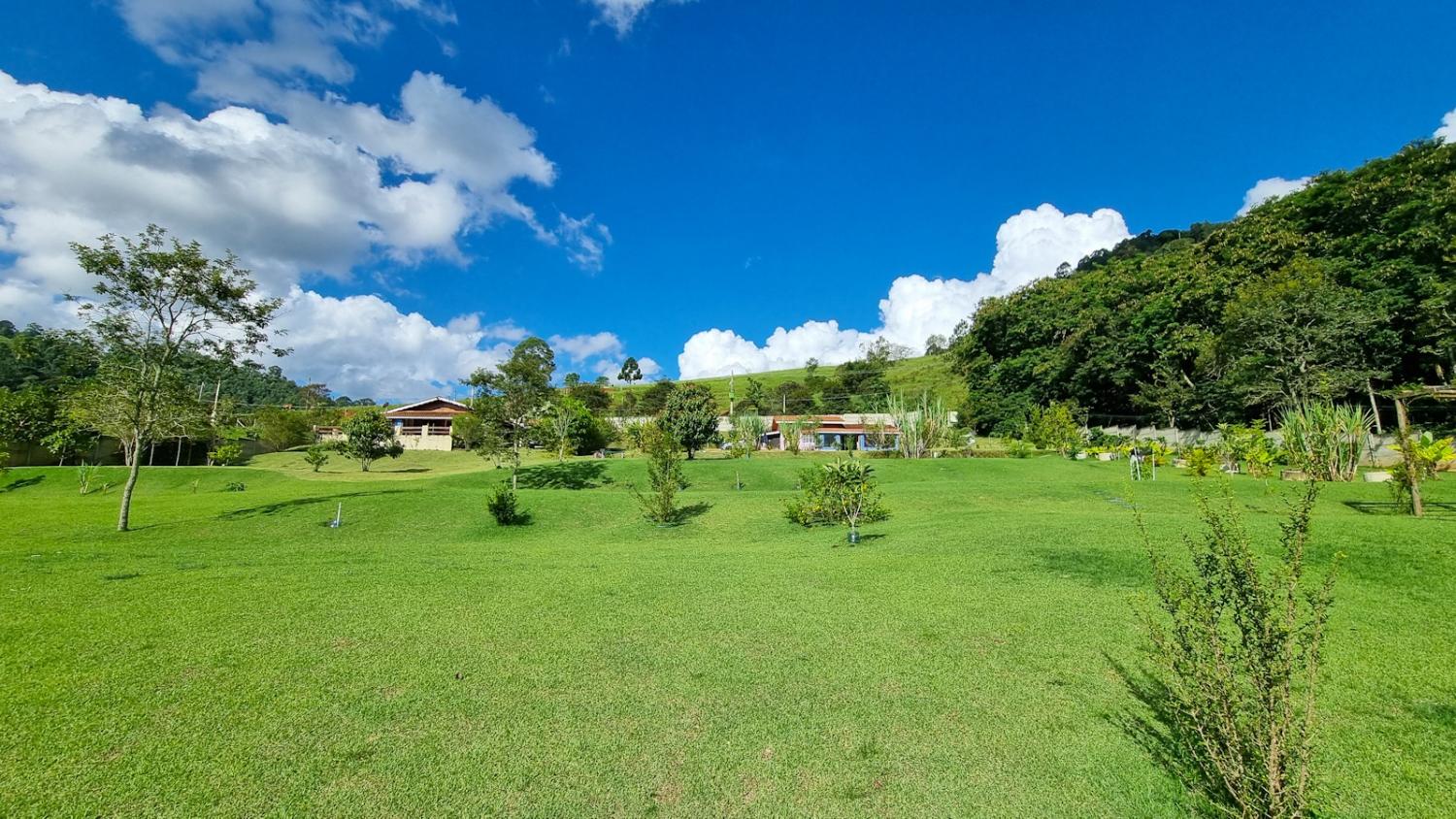 Fazenda à venda com 3 quartos, 6050m² - Foto 4