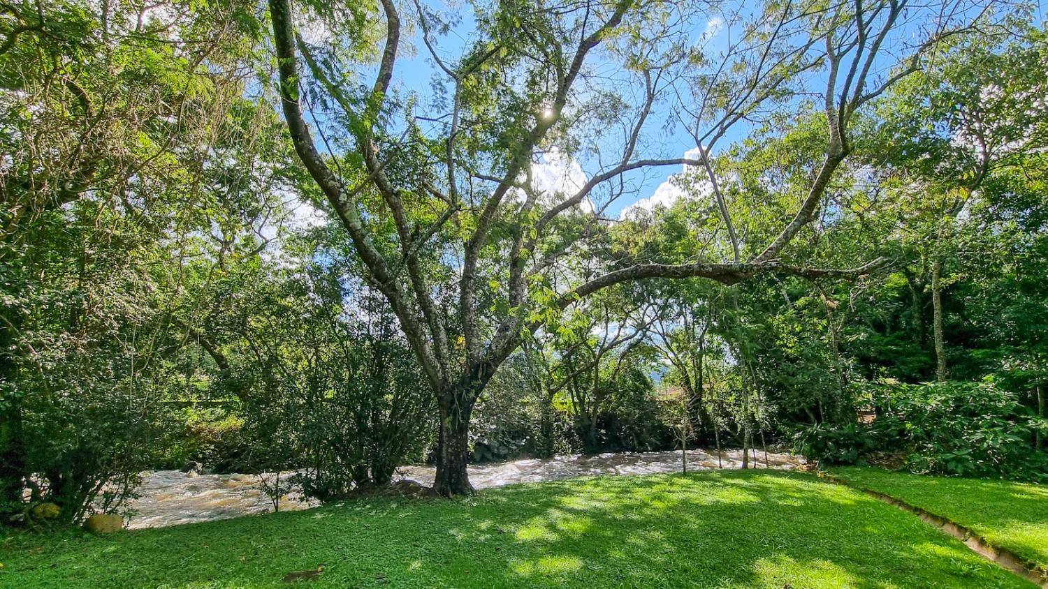 Fazenda à venda com 3 quartos, 6050m² - Foto 6