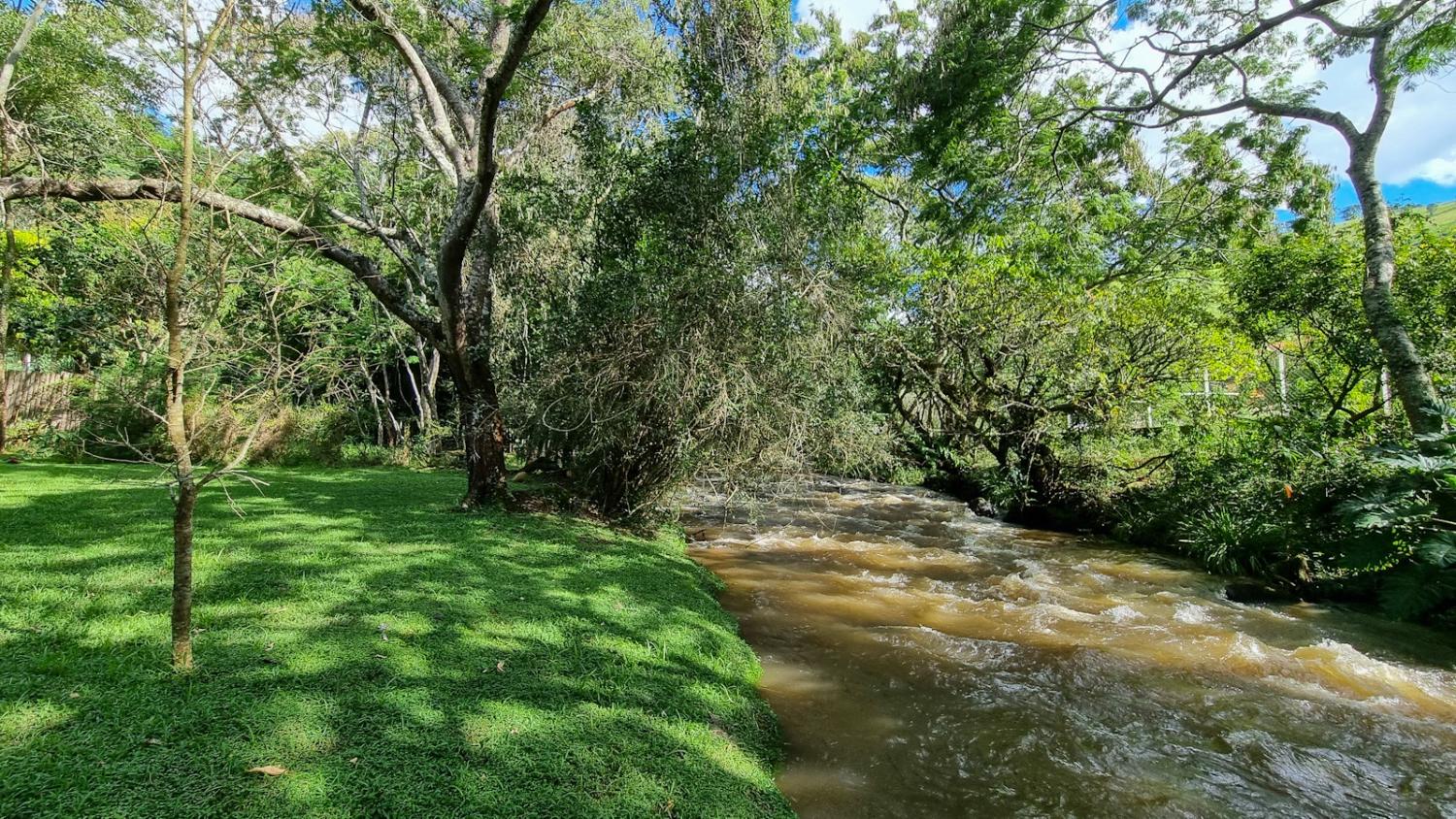 Fazenda à venda com 3 quartos, 6050m² - Foto 7