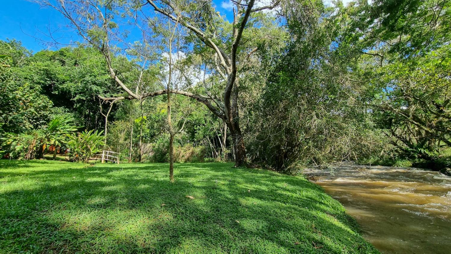 Fazenda à venda com 3 quartos, 6050m² - Foto 8