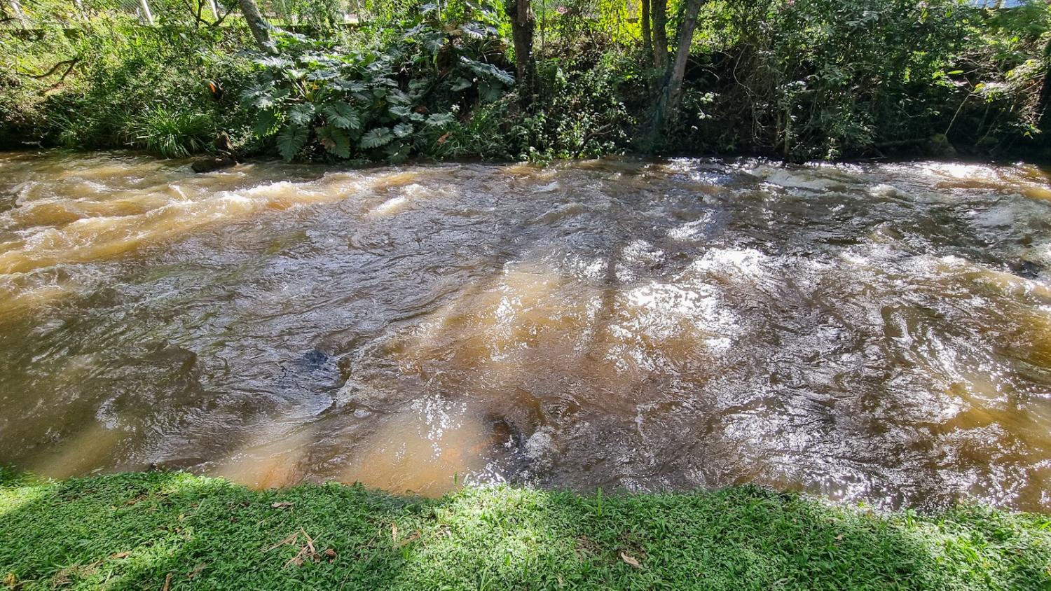 Fazenda à venda com 3 quartos, 6050m² - Foto 9