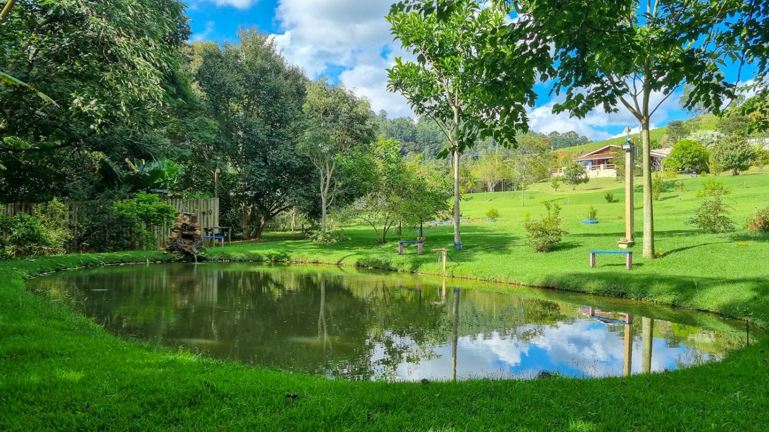 Fazenda à venda com 3 quartos, 6050m² - Foto 10