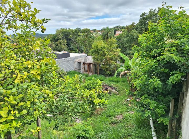 Fazenda à venda com 3 quartos, 950m² - Foto 11