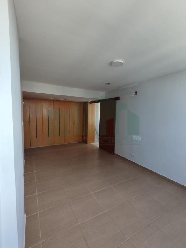 Apartamento à venda com 3 quartos, 201m² - Foto 15