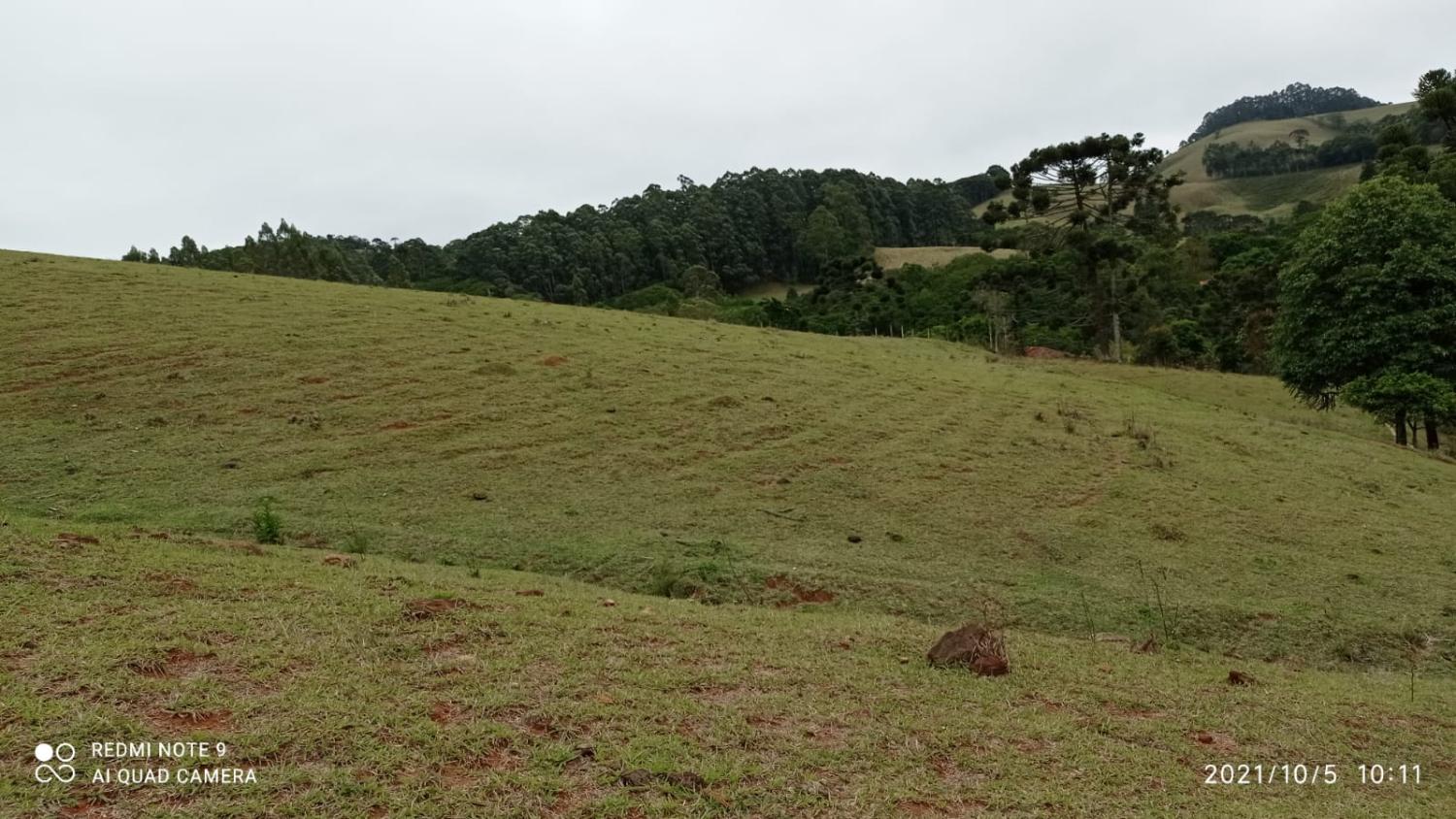 Fazenda à venda, 30000m² - Foto 3