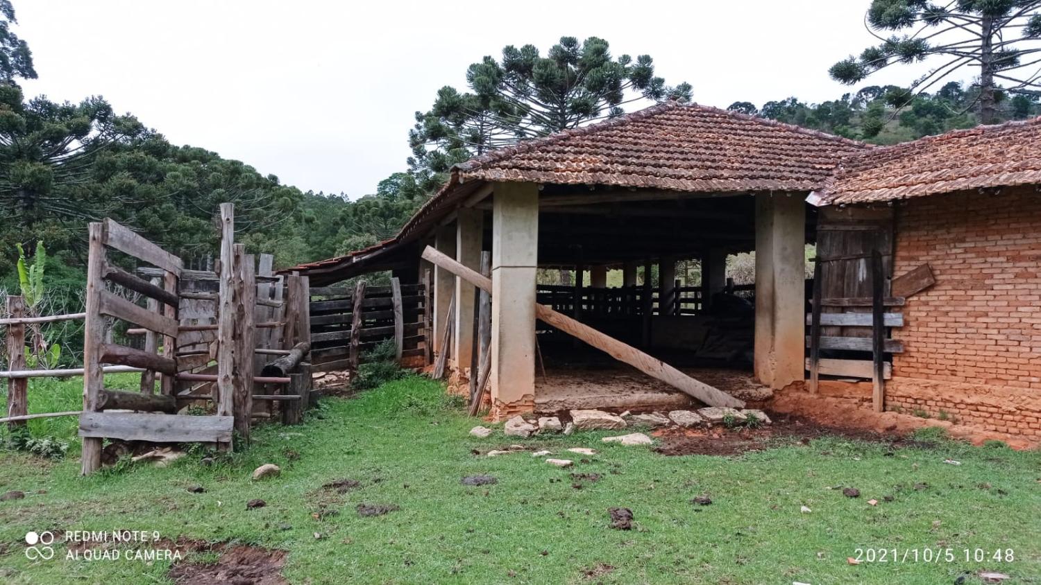 Fazenda à venda, 30000m² - Foto 6