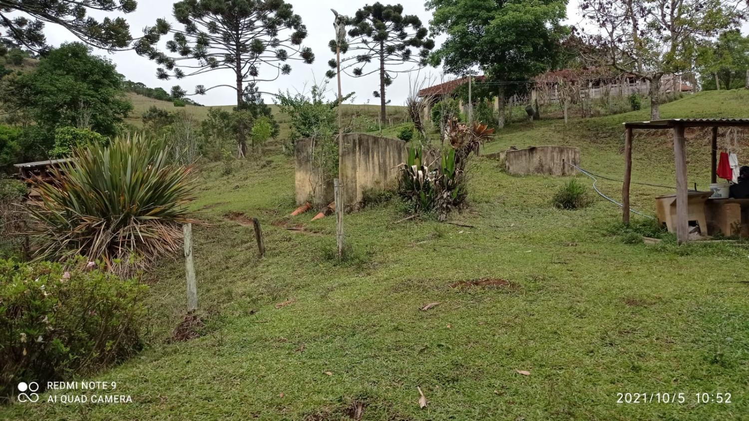 Fazenda à venda, 30000m² - Foto 7