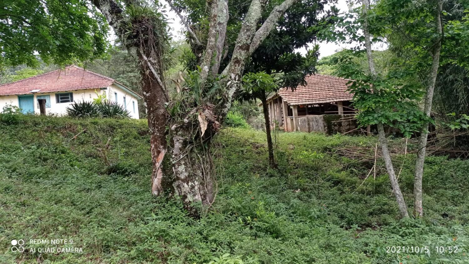 Fazenda à venda, 30000m² - Foto 9