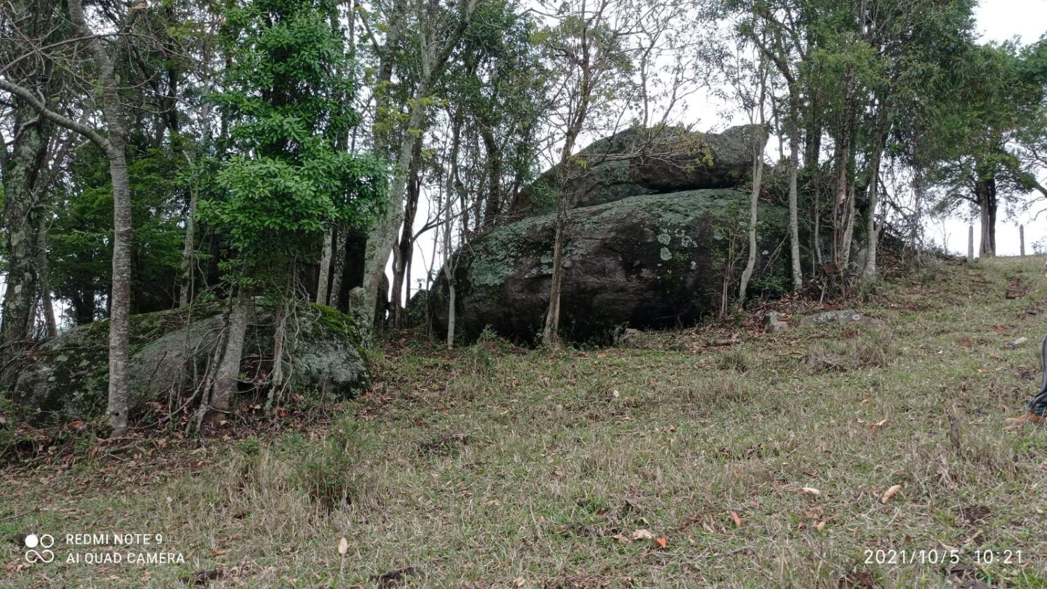 Fazenda à venda, 30000m² - Foto 10