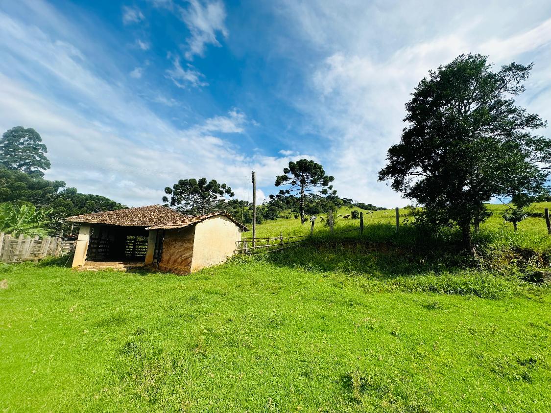 Fazenda à venda, 30000m² - Foto 13