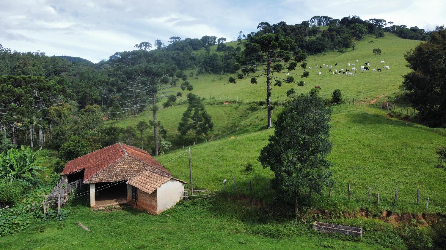 Fazenda à venda, 30000m² - Foto 15