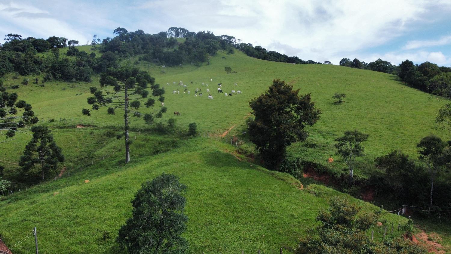 Fazenda à venda, 30000m² - Foto 16