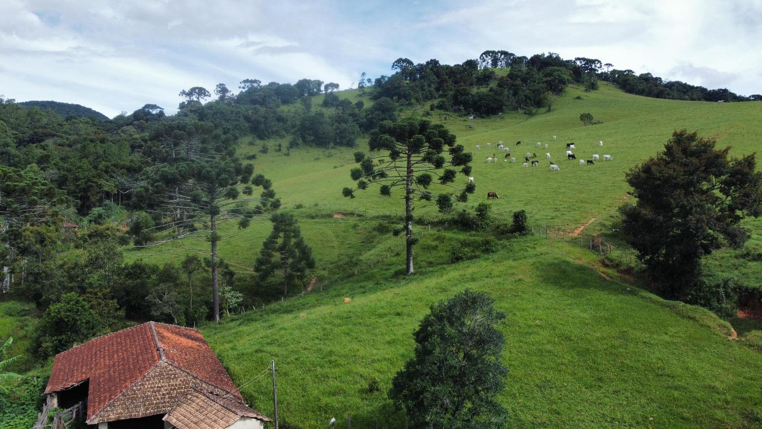 Fazenda à venda, 30000m² - Foto 17