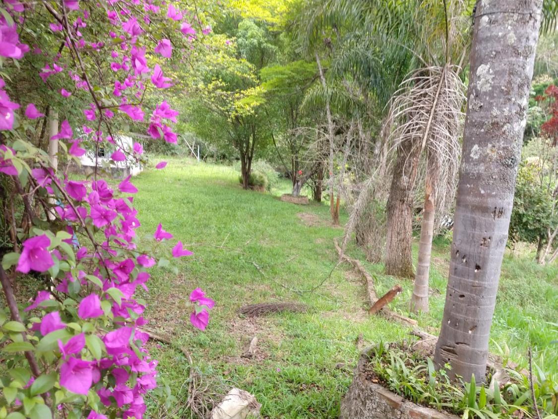 Fazenda à venda, 30000m² - Foto 6