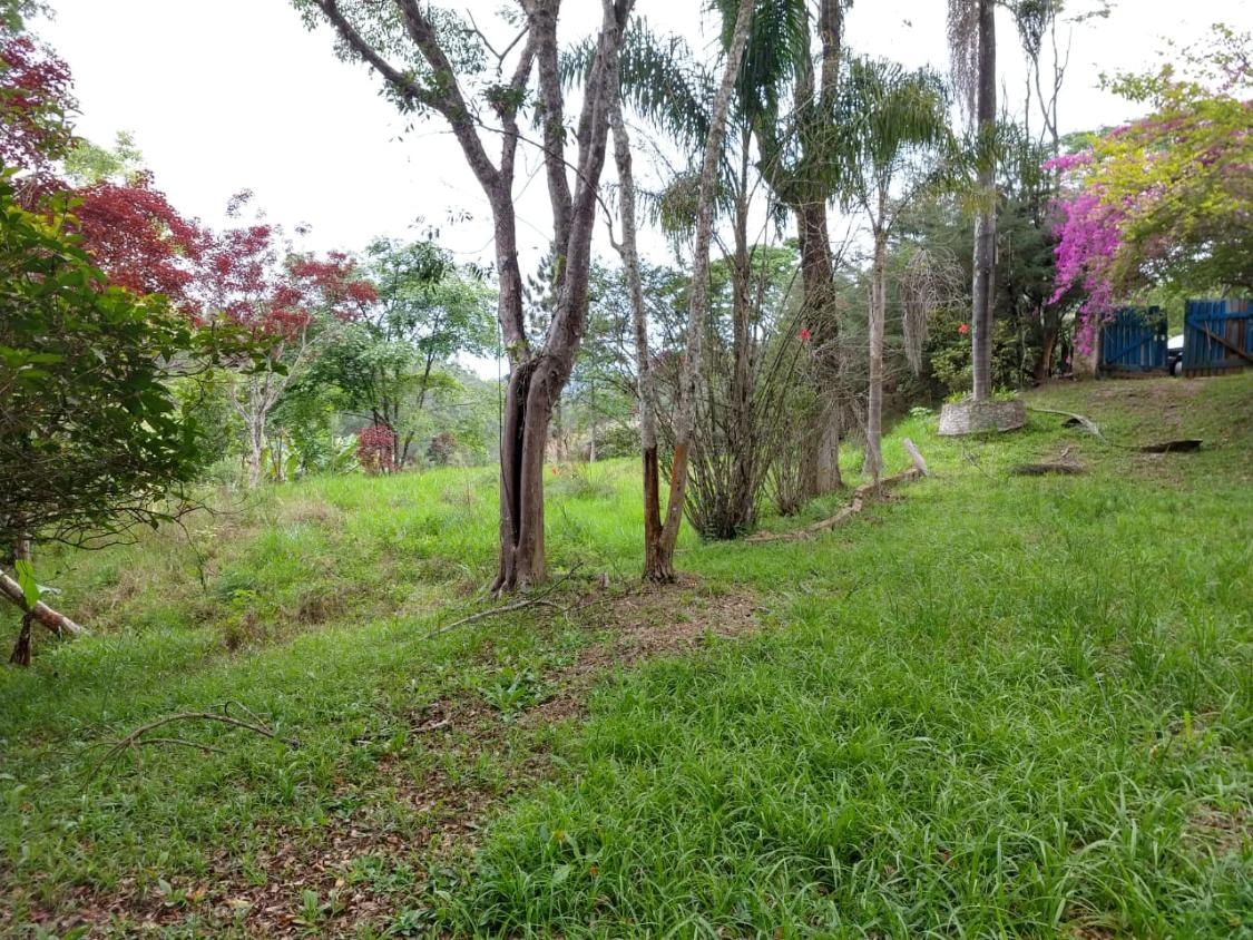 Fazenda à venda, 30000m² - Foto 7