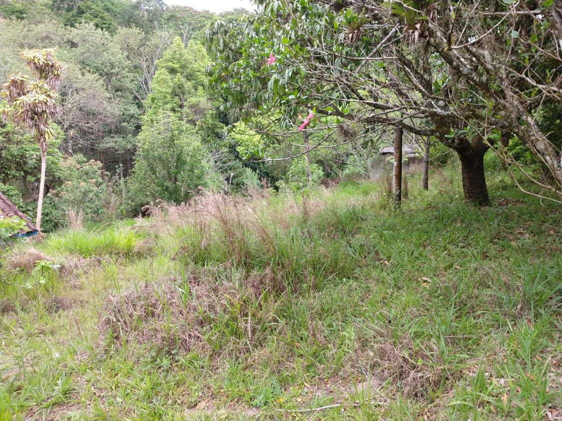 Fazenda à venda, 30000m² - Foto 9