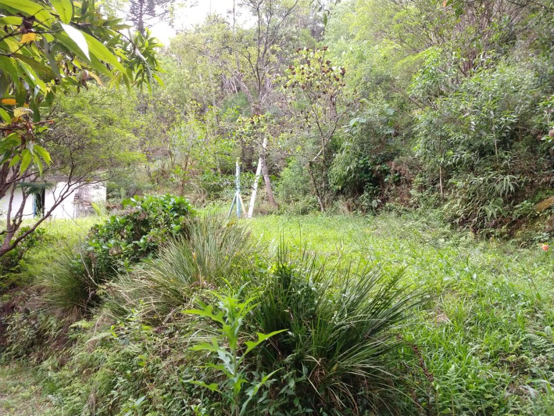 Fazenda à venda, 30000m² - Foto 10