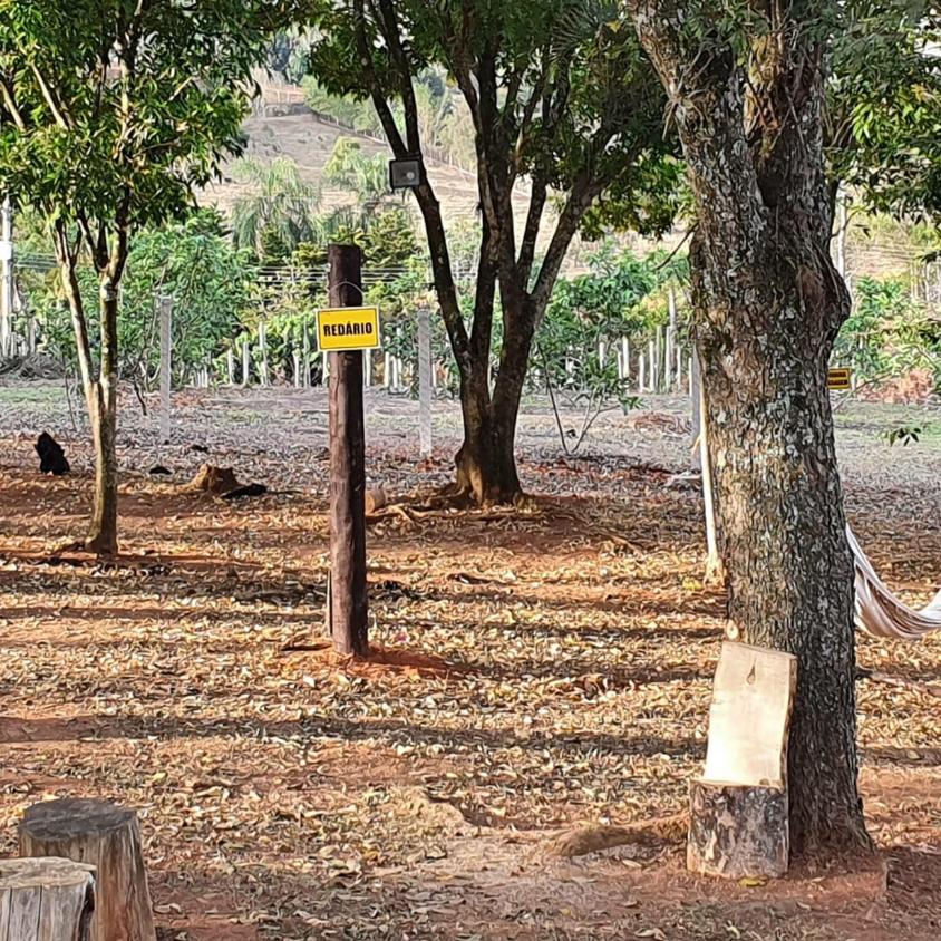 Fazenda à venda com 8 quartos, 20000m² - Foto 10