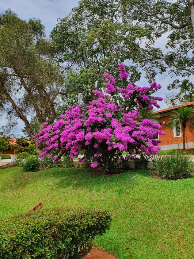 Fazenda à venda com 8 quartos, 20000m² - Foto 20