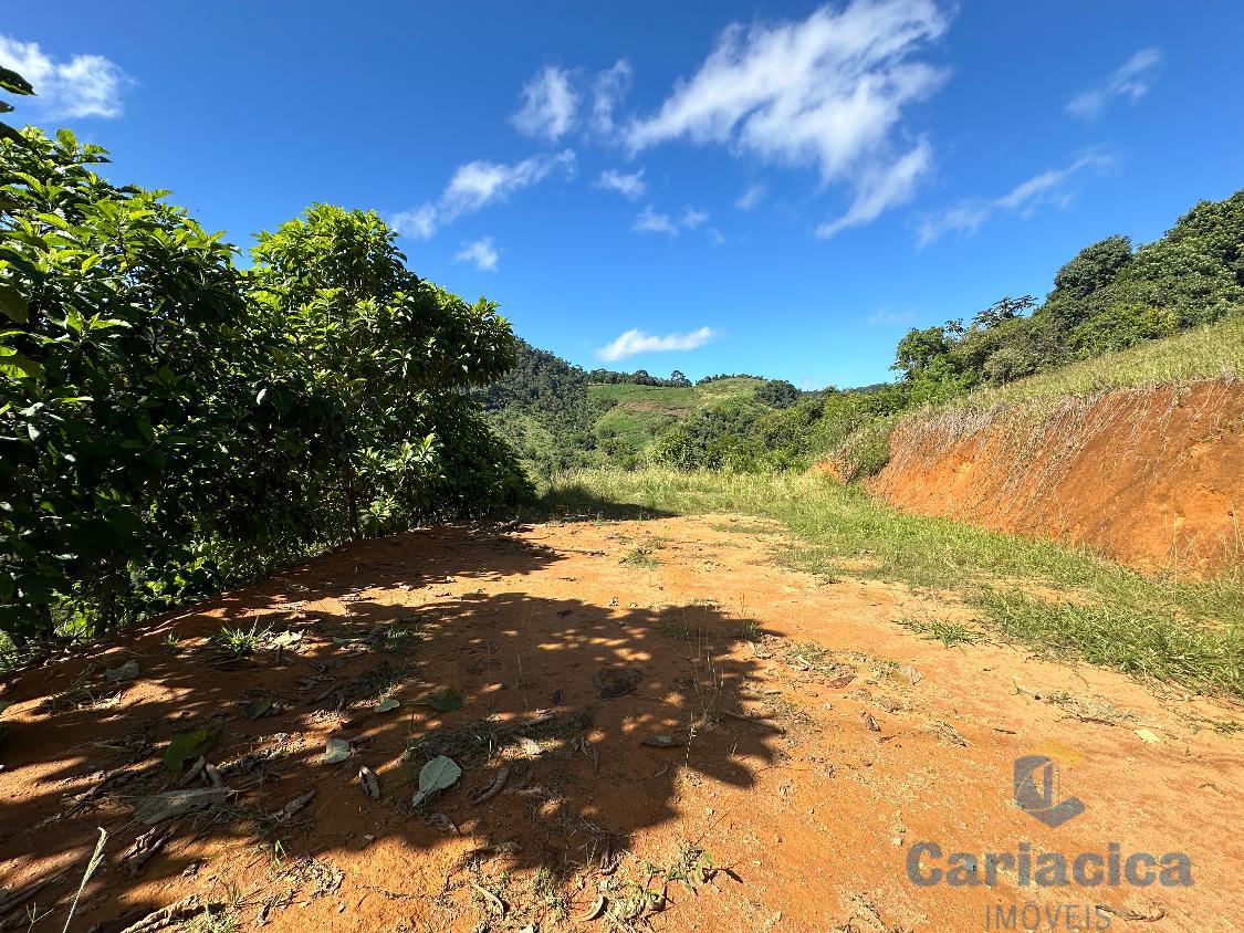 Fazenda à venda, 4000m² - Foto 3