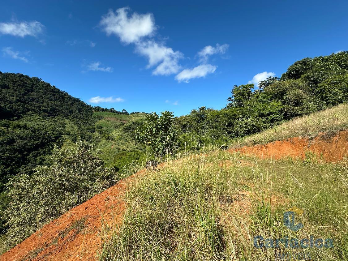 Fazenda à venda, 4000m² - Foto 5