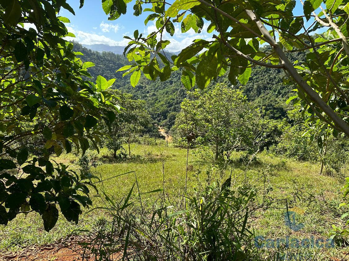 Fazenda à venda, 4000m² - Foto 6