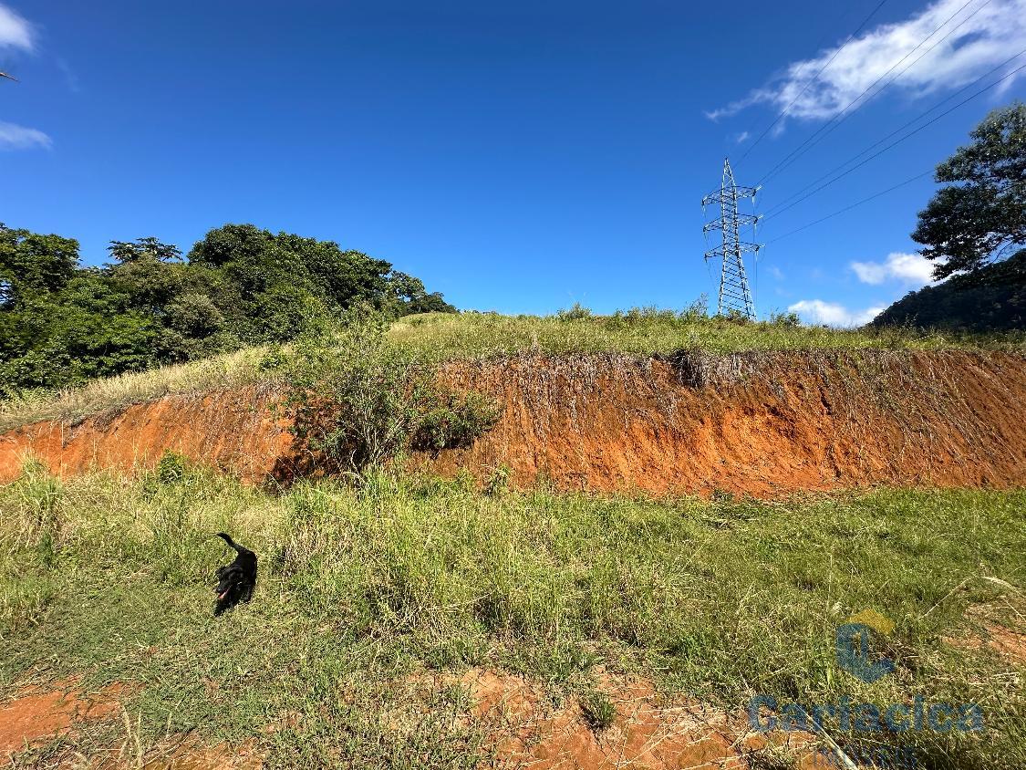 Fazenda à venda, 4000m² - Foto 8