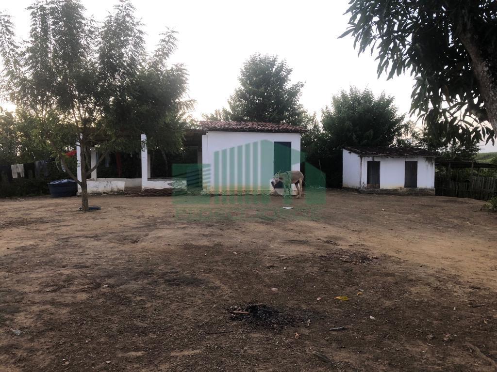 Fazenda à venda com 4 quartos, 2200m² - Foto 7