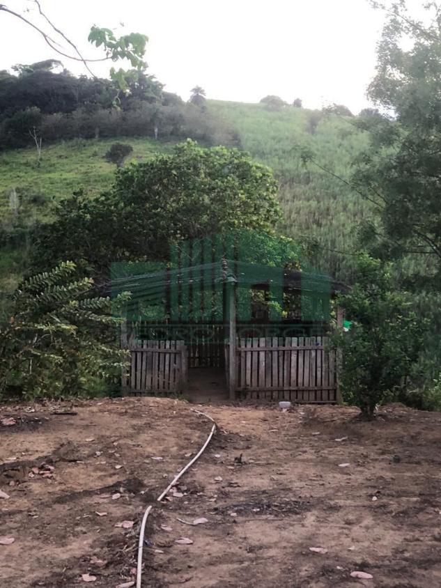 Fazenda à venda com 4 quartos, 2200m² - Foto 8