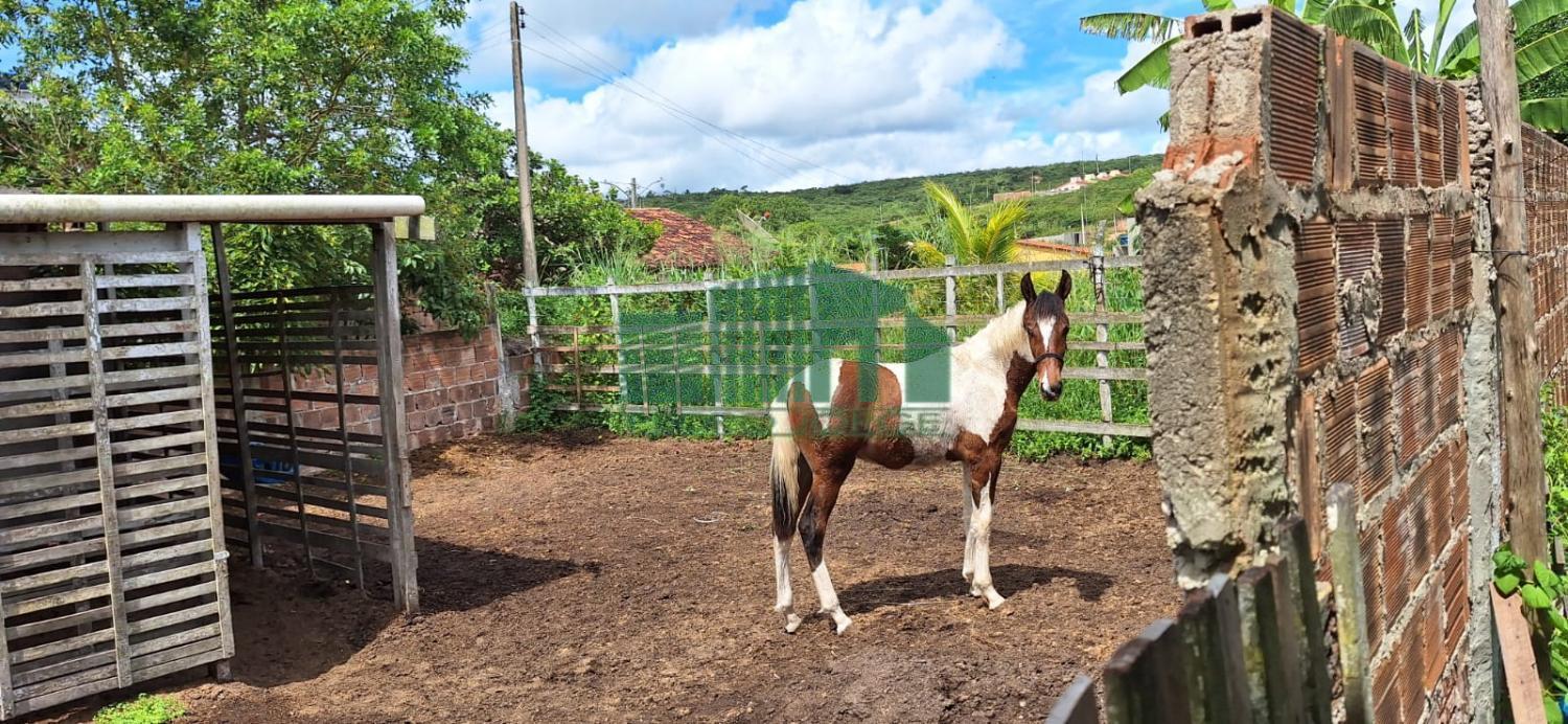 Chácara à venda, 2300m² - Foto 27