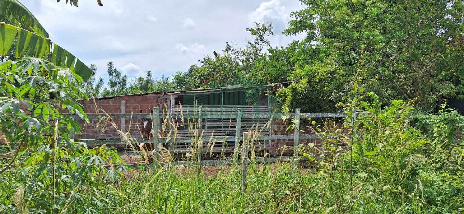 Fazenda à venda com 4 quartos, 2300m² - Foto 17